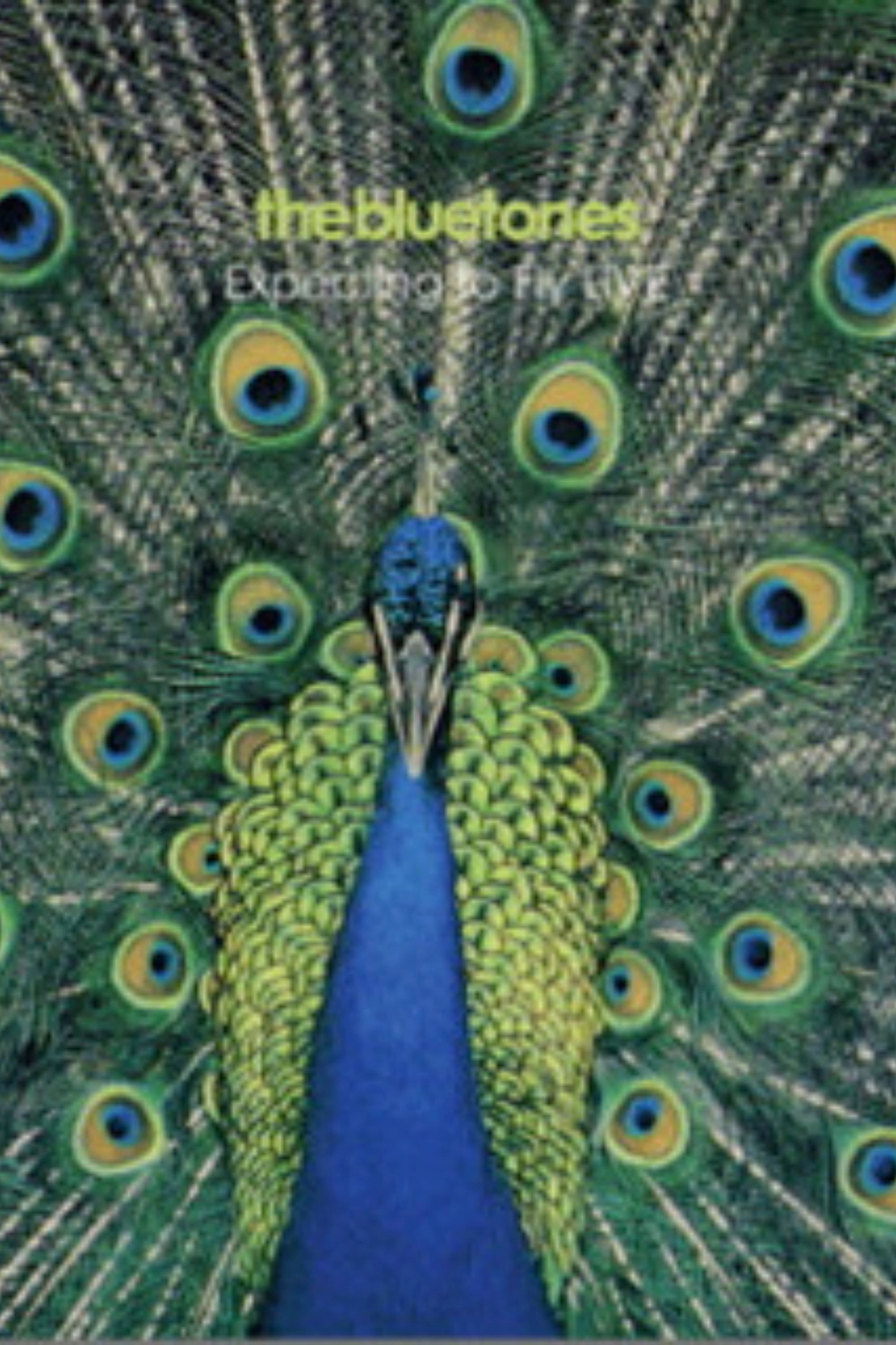 The Bluetones: Expecting To Fly Live