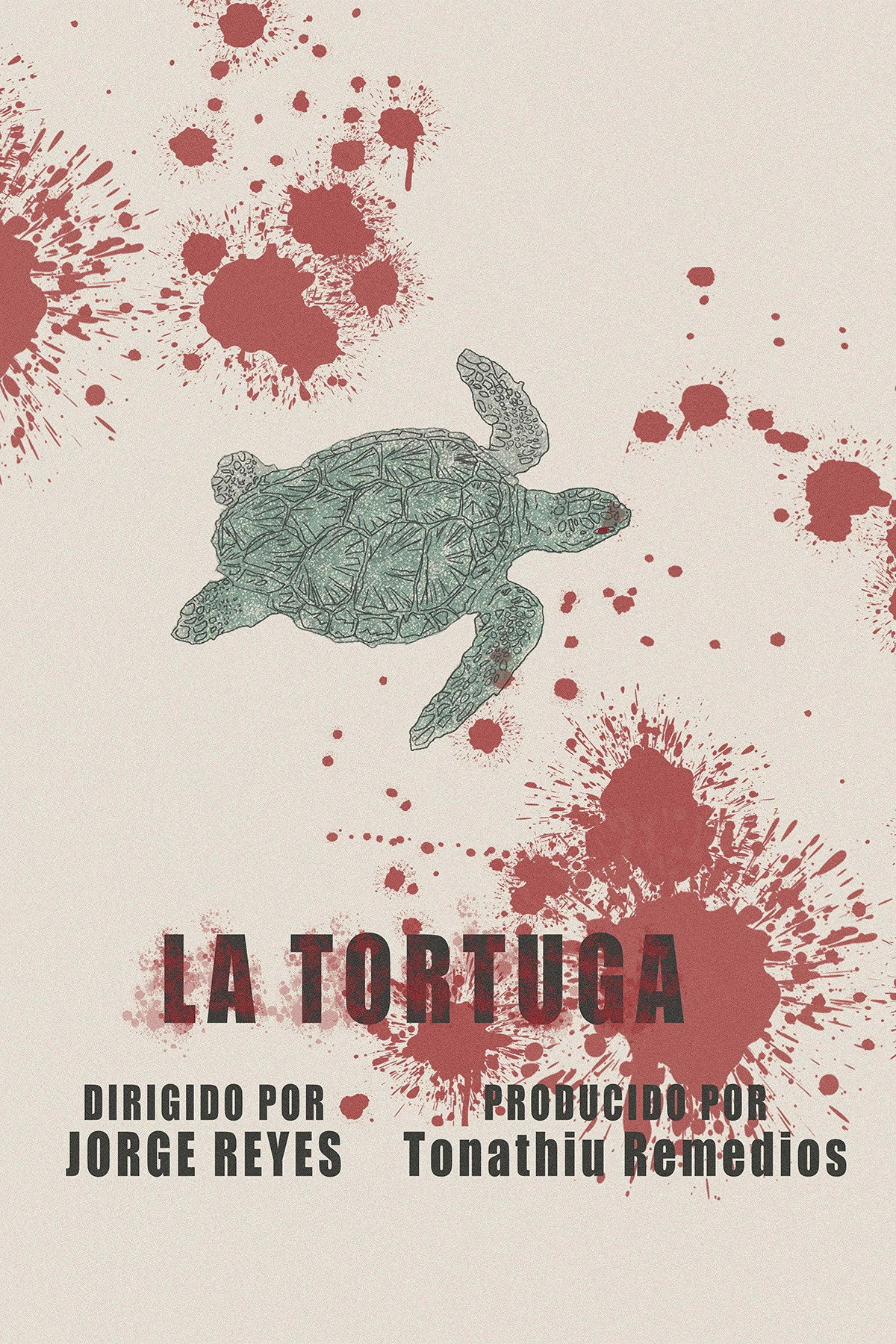 The Turtle