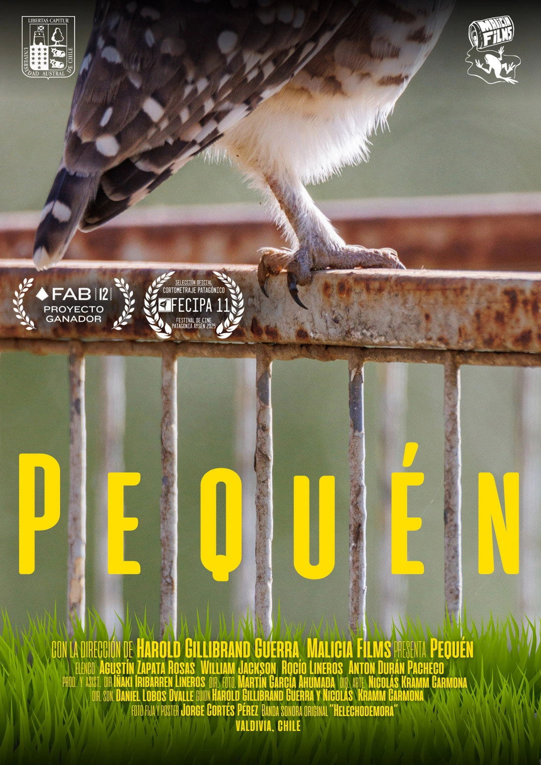 Pequén