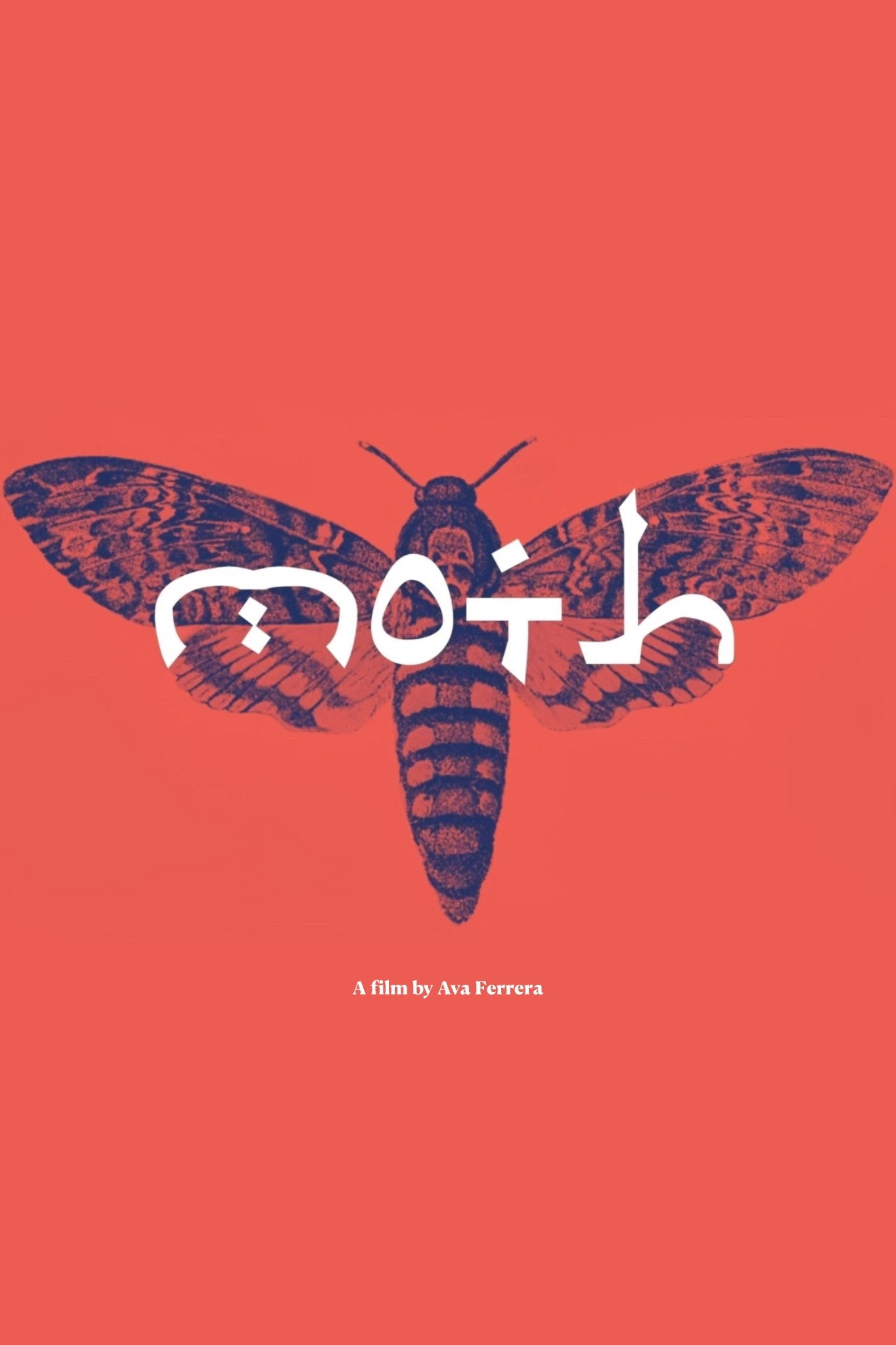 Moth