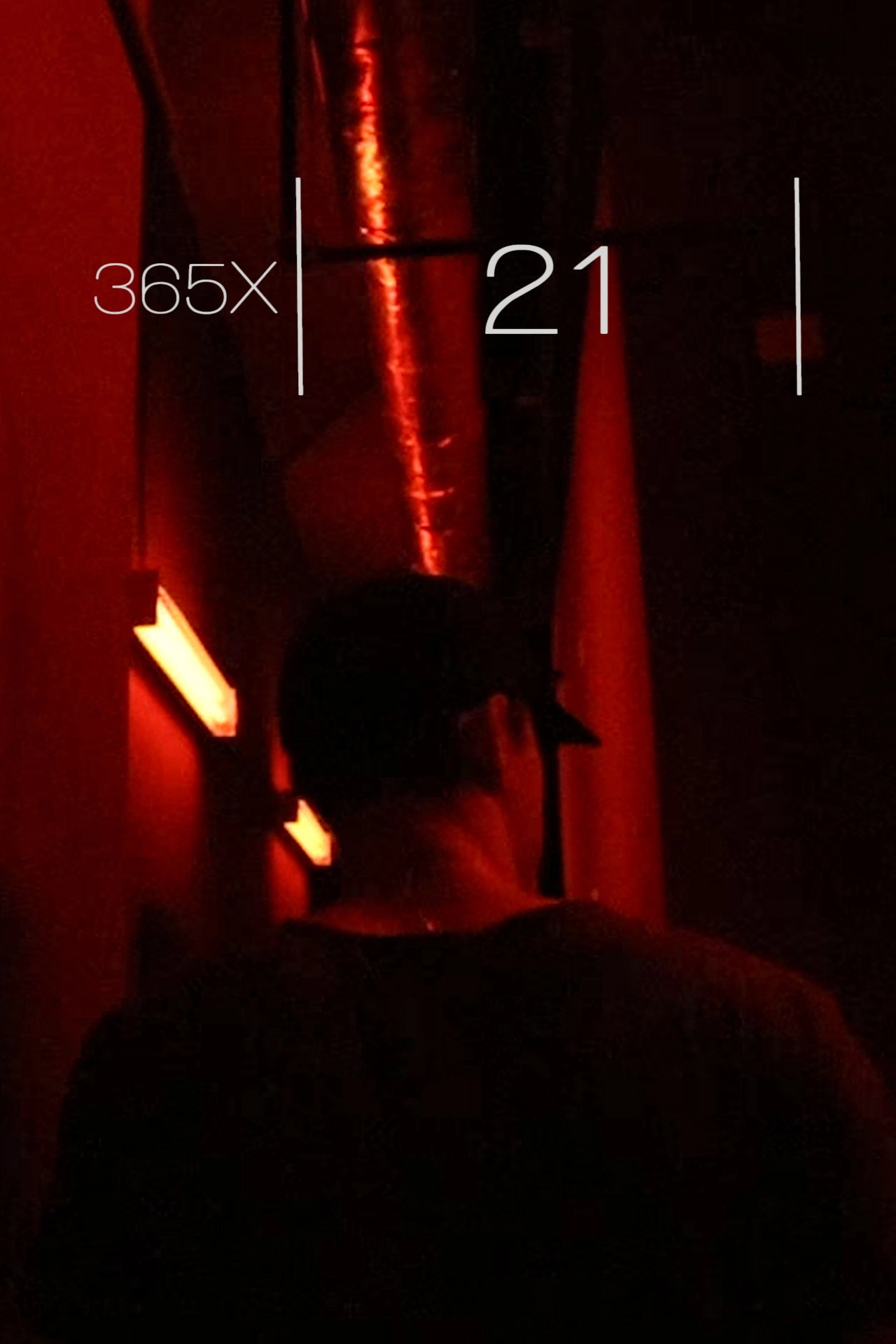 365x: 21