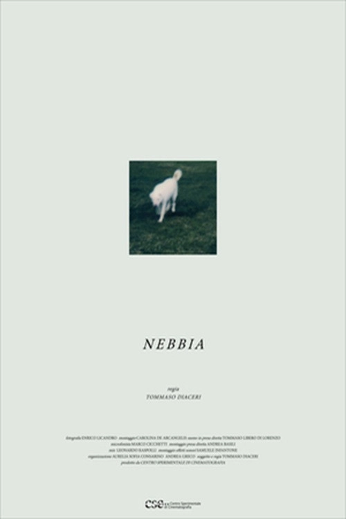 Nebbia