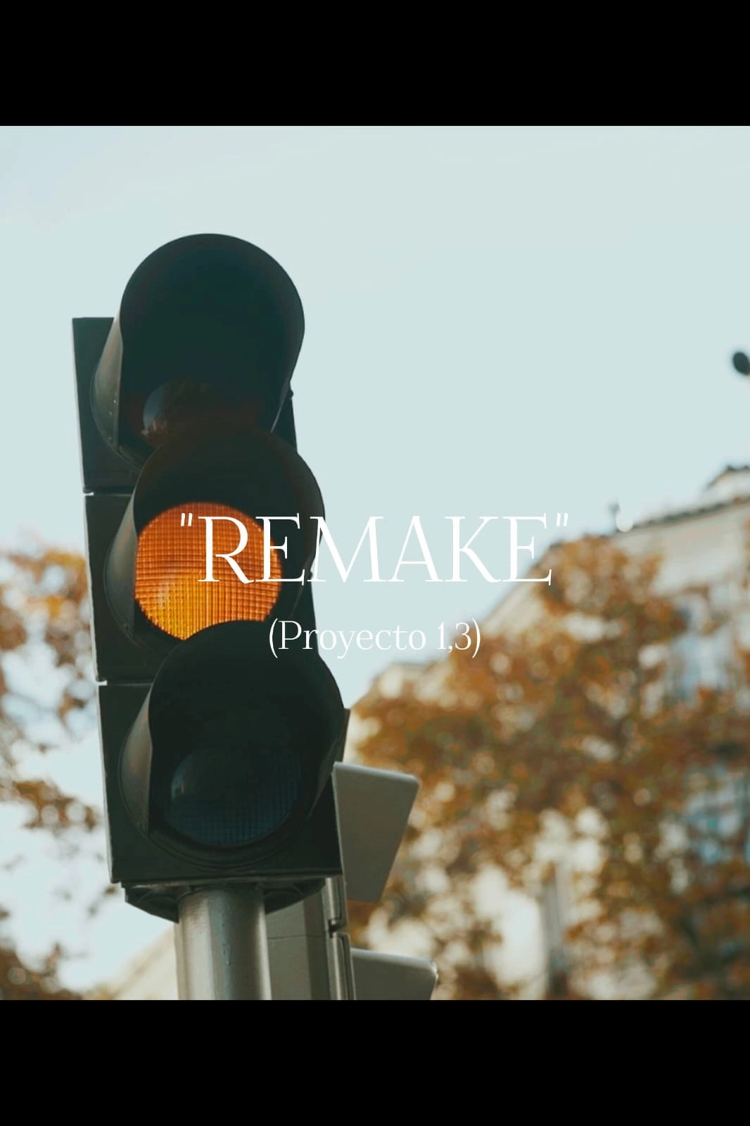 "REMAKE" (Proyecto 1,3)