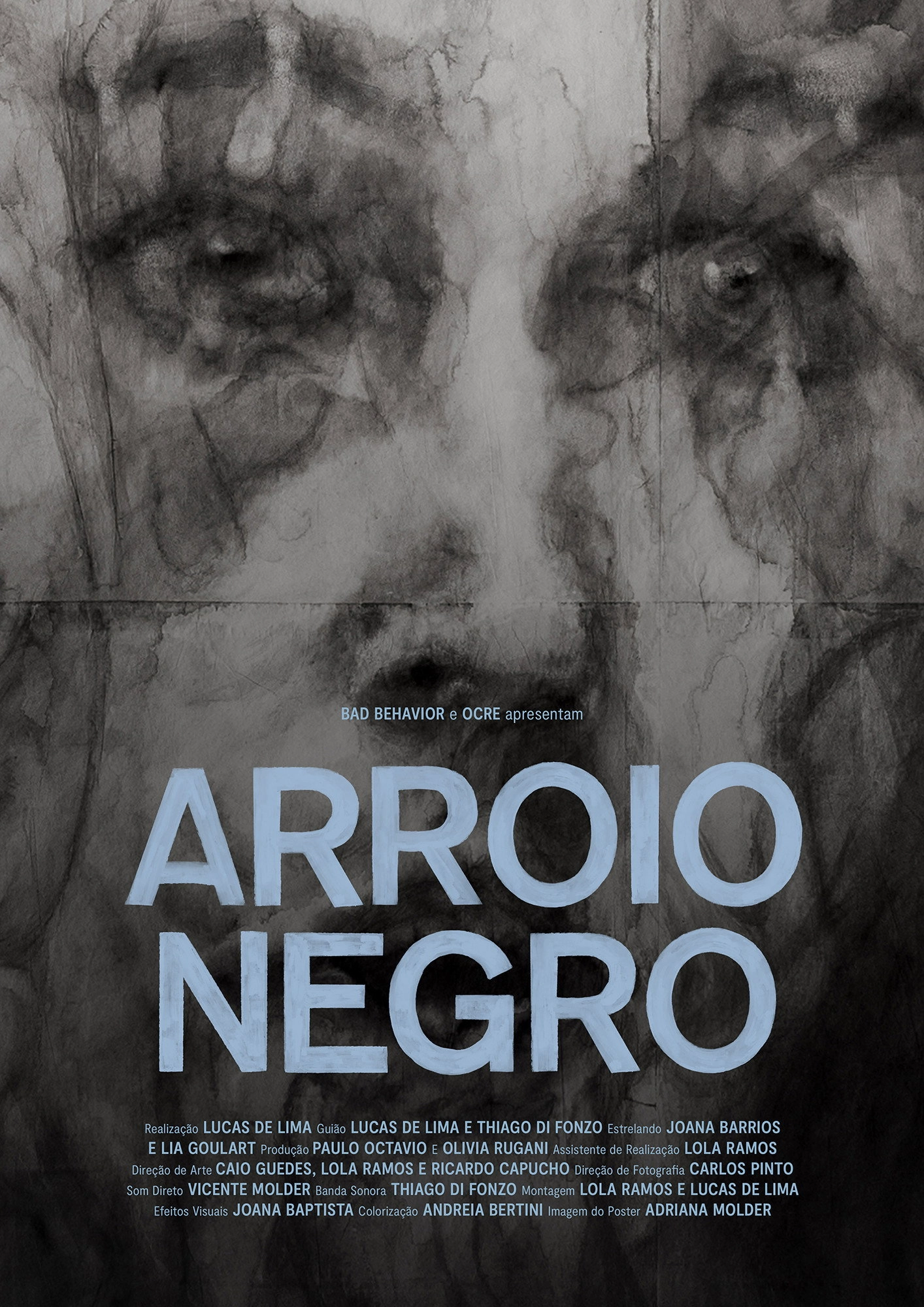 Arroio Negro