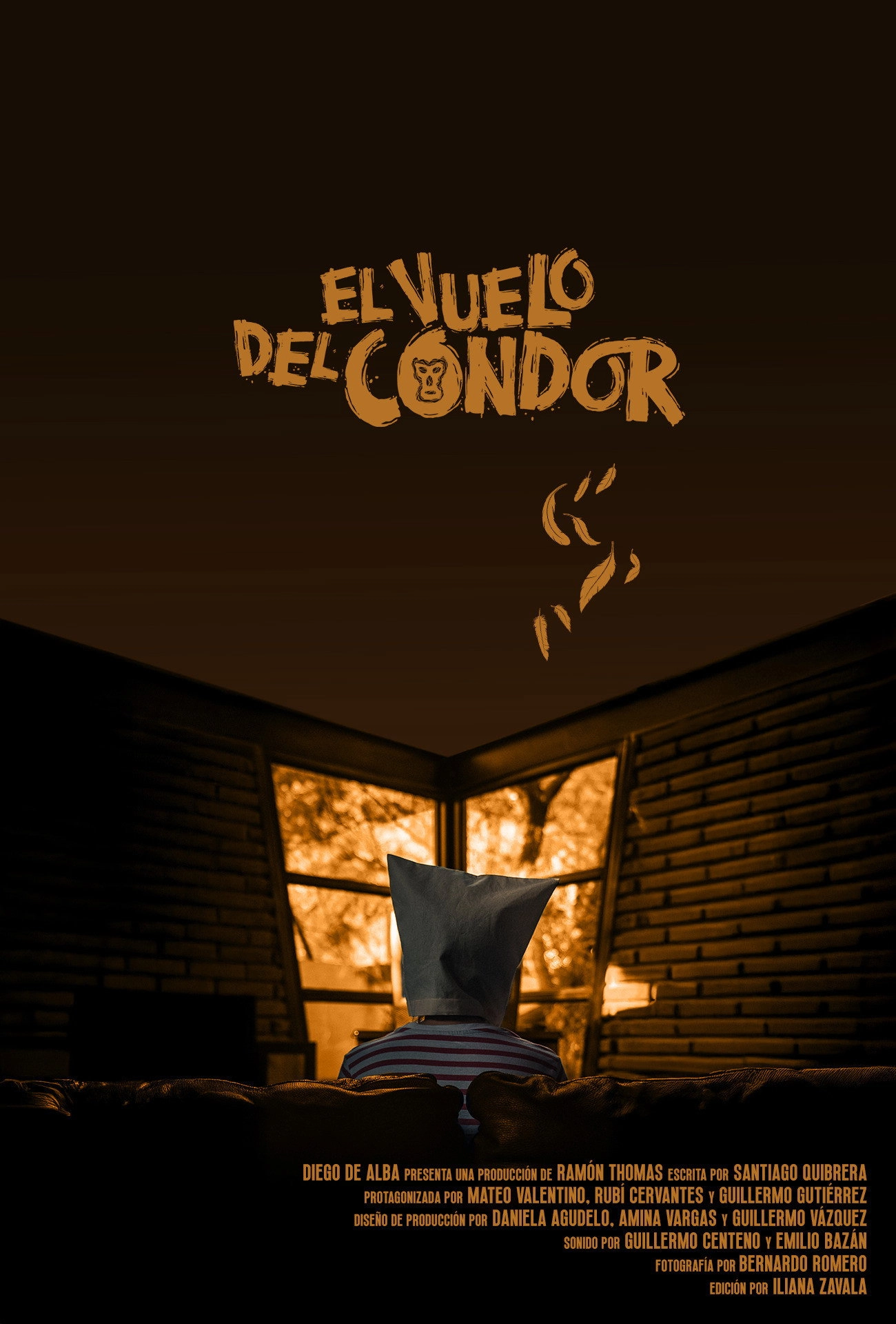 El vuelo del Cóndor