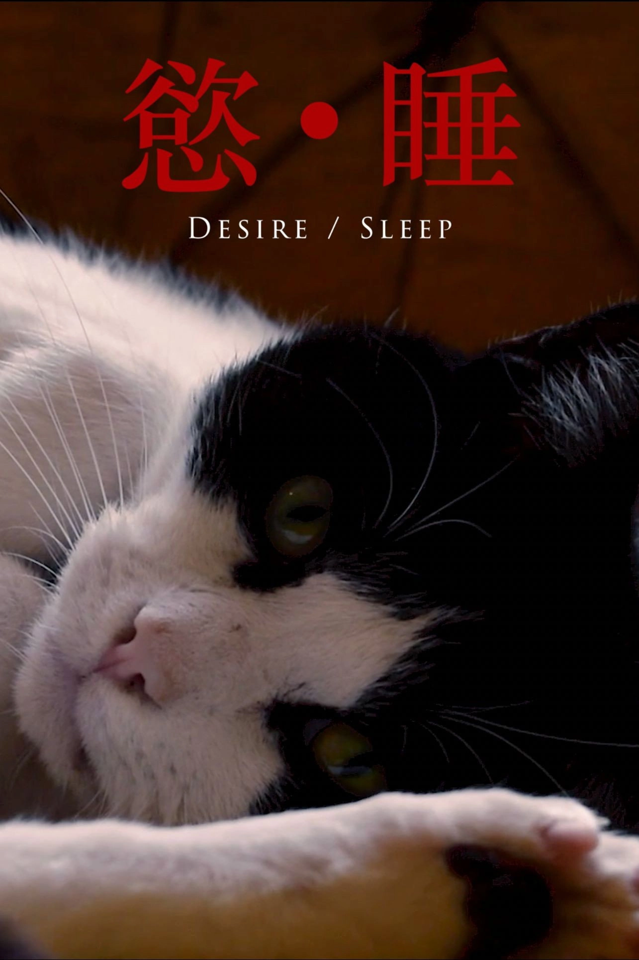 Desire/Sleep