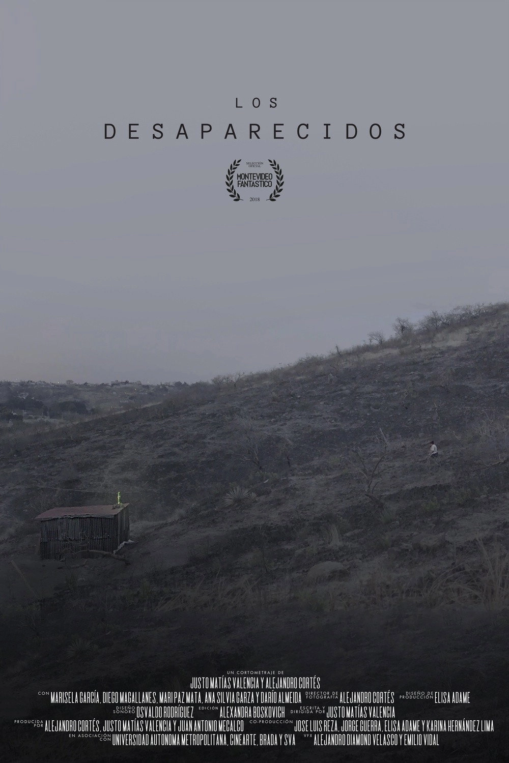 Los desaparecidos