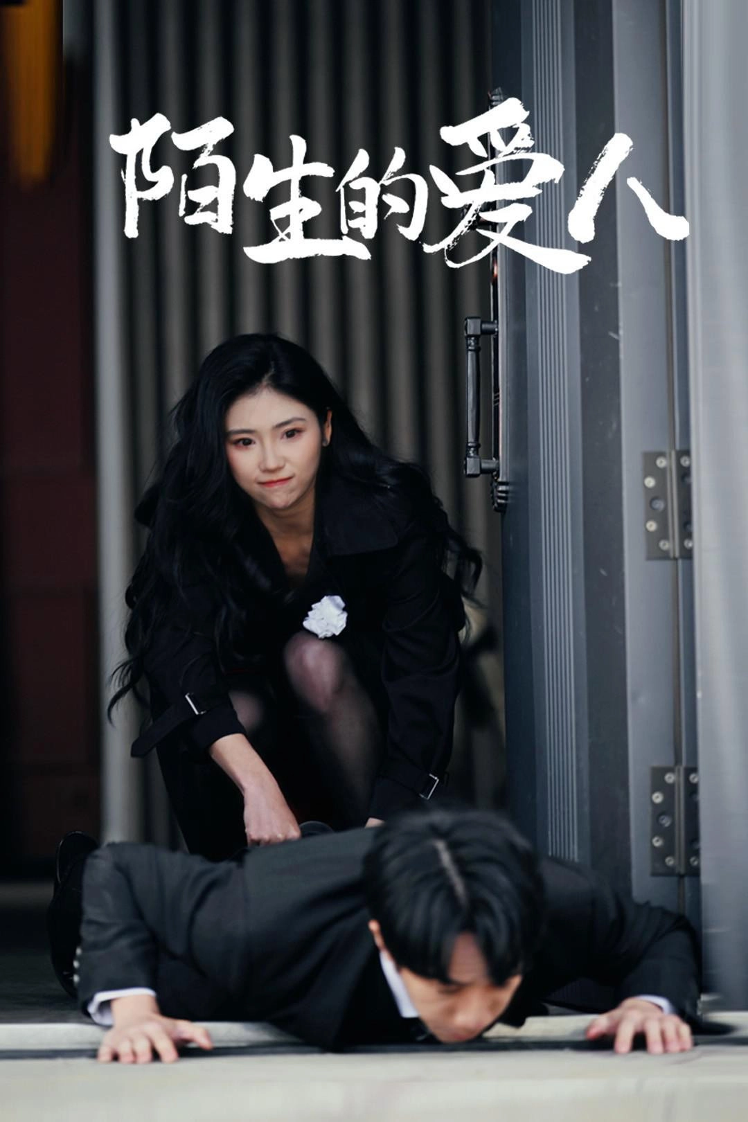陌生的爱人