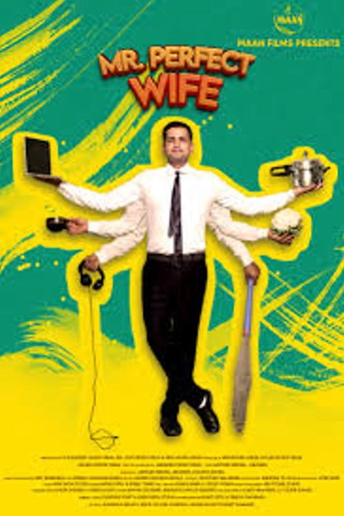 Mr Perfect Wife
