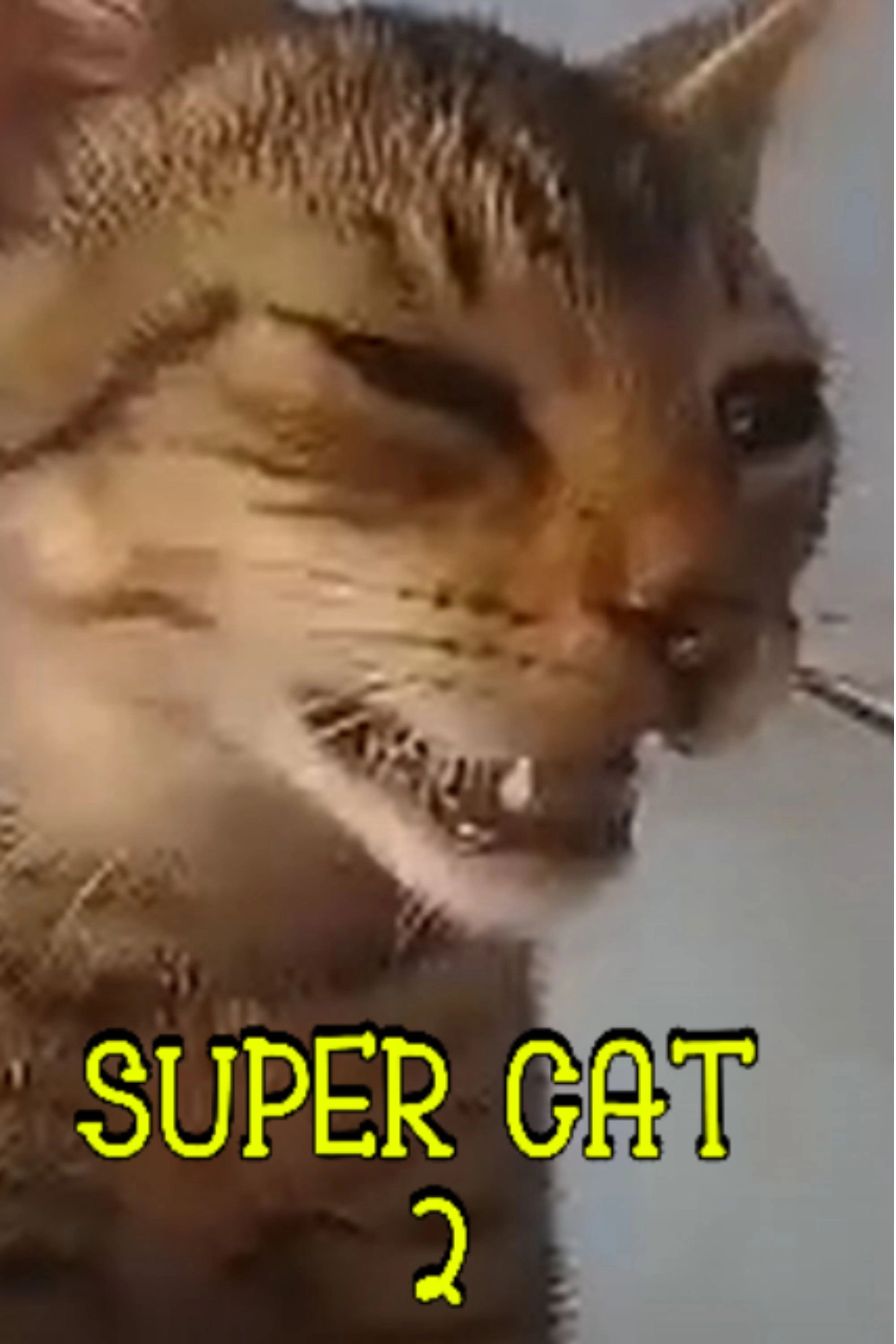 Super Cat 2