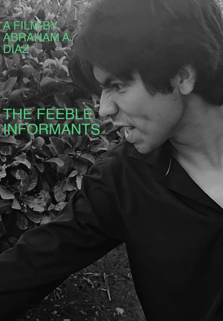The Feeble Informants