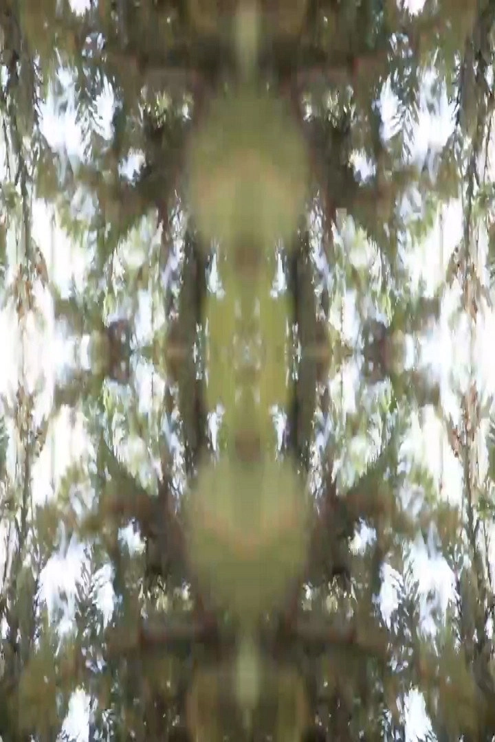 Zuhaitza [2016 Nagore Etxabe]
