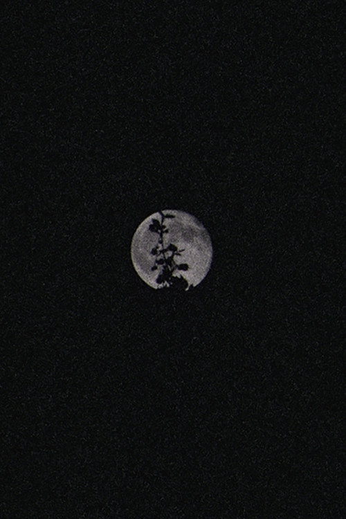 Lunar Visions II