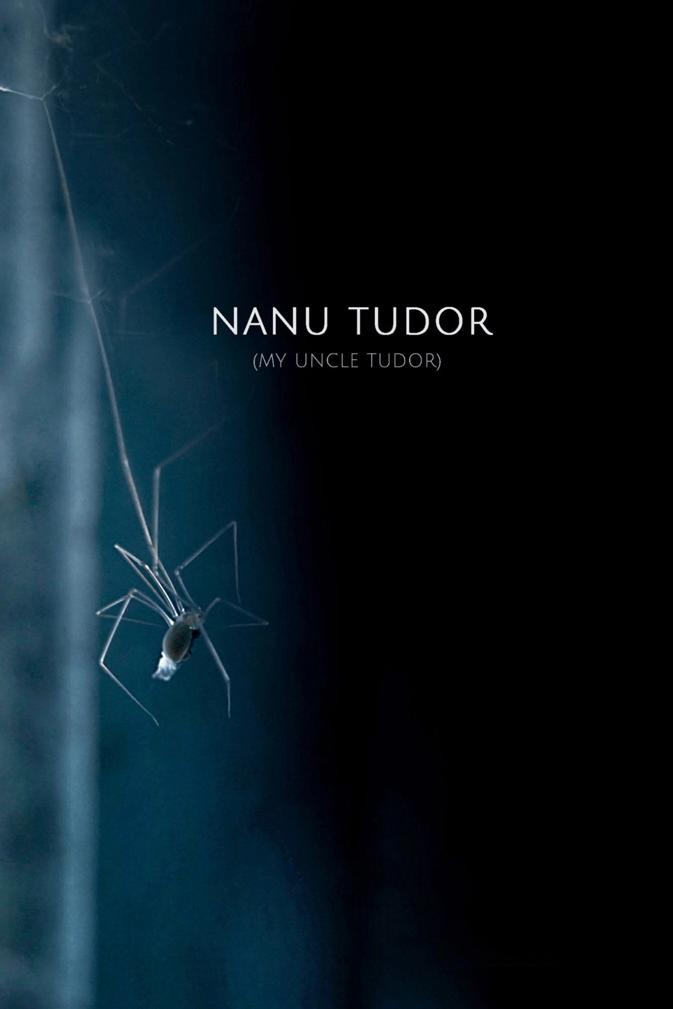 My Uncle Tudor