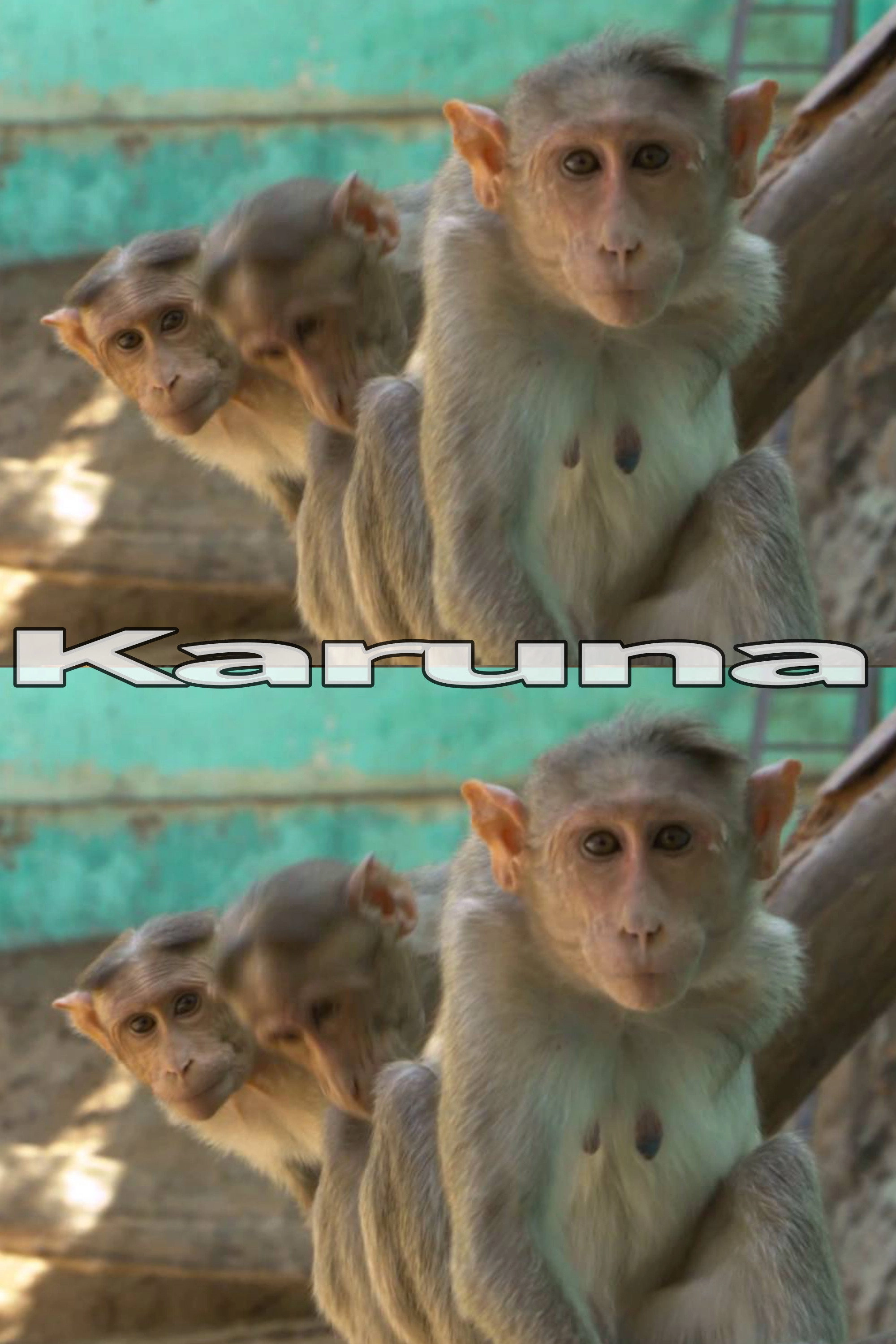 Karuna