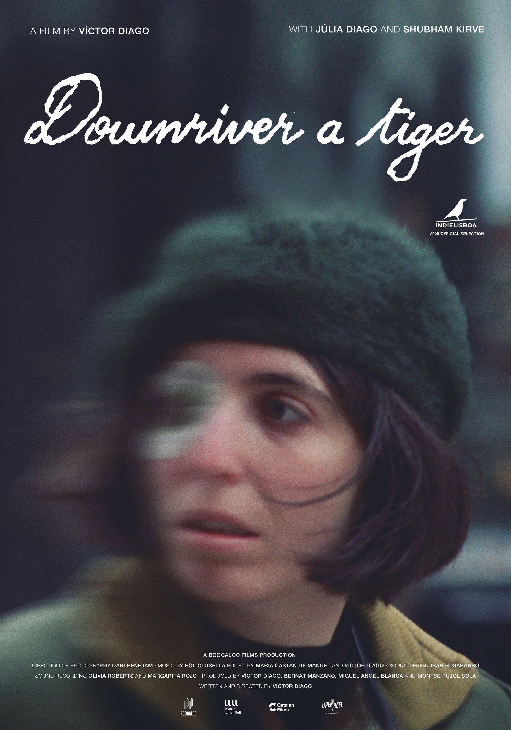 Downriver a tiger