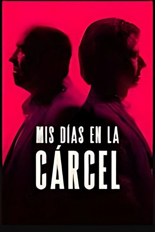 Mis dias en la carcel