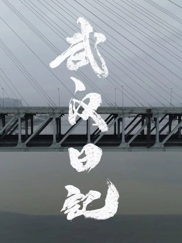 WUHAN's Diary