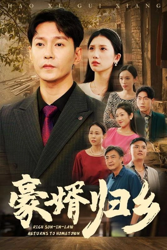 豪婿归乡