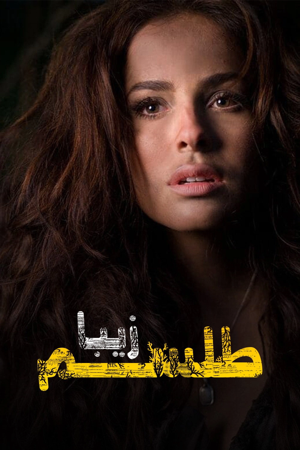 Bella Calamidades