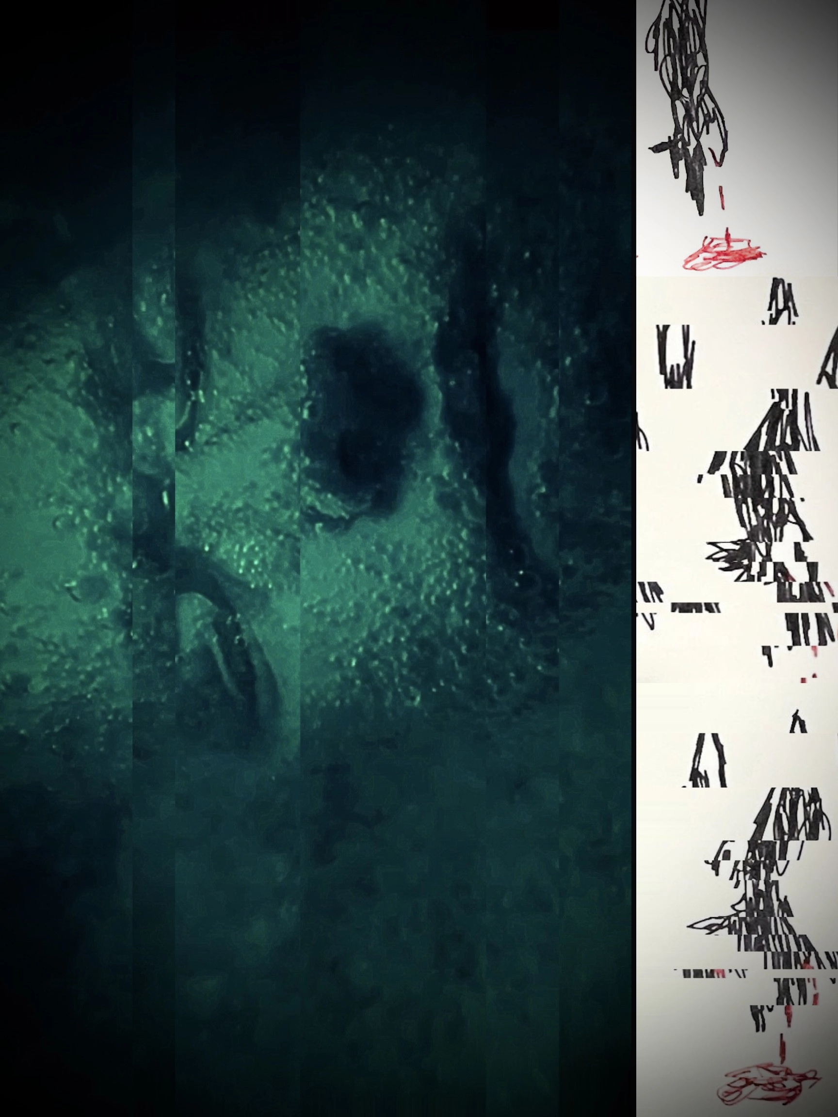 Three Wolves