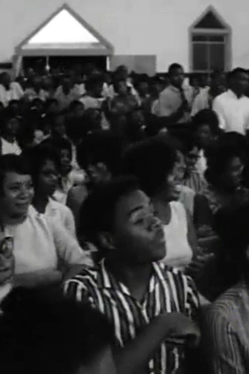 Black Natchez