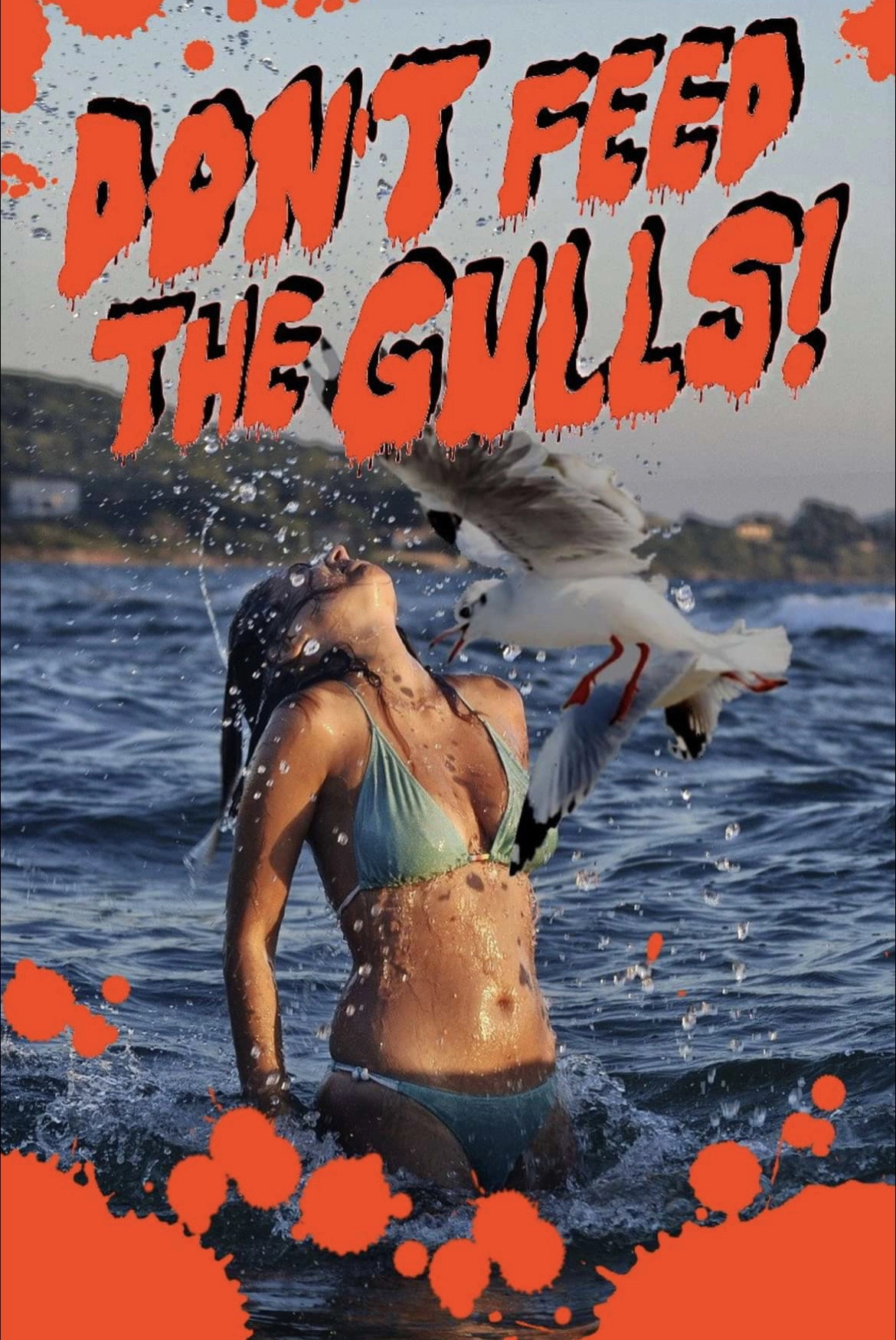 Don’t Feed the Gulls!