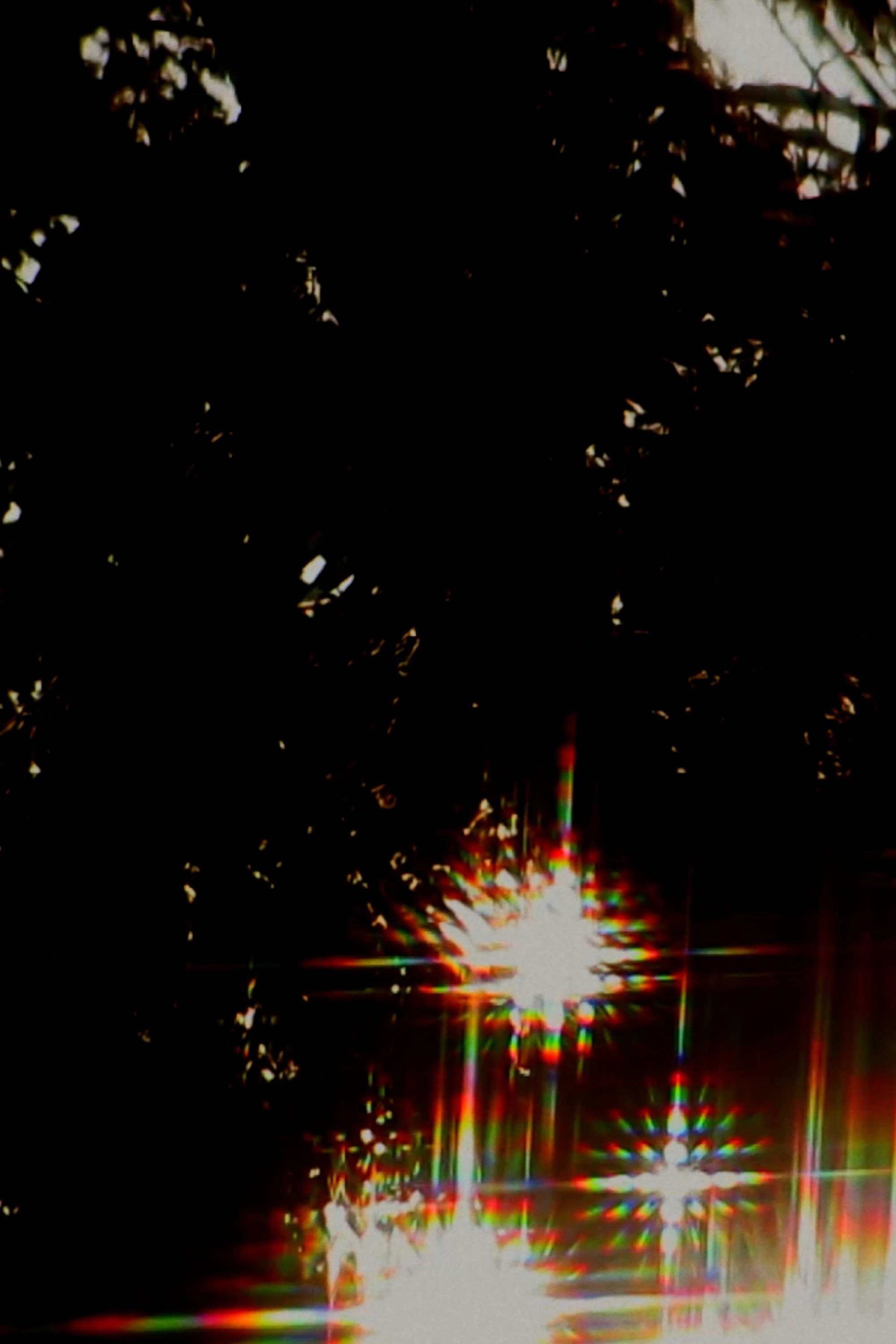 The Golden Bough