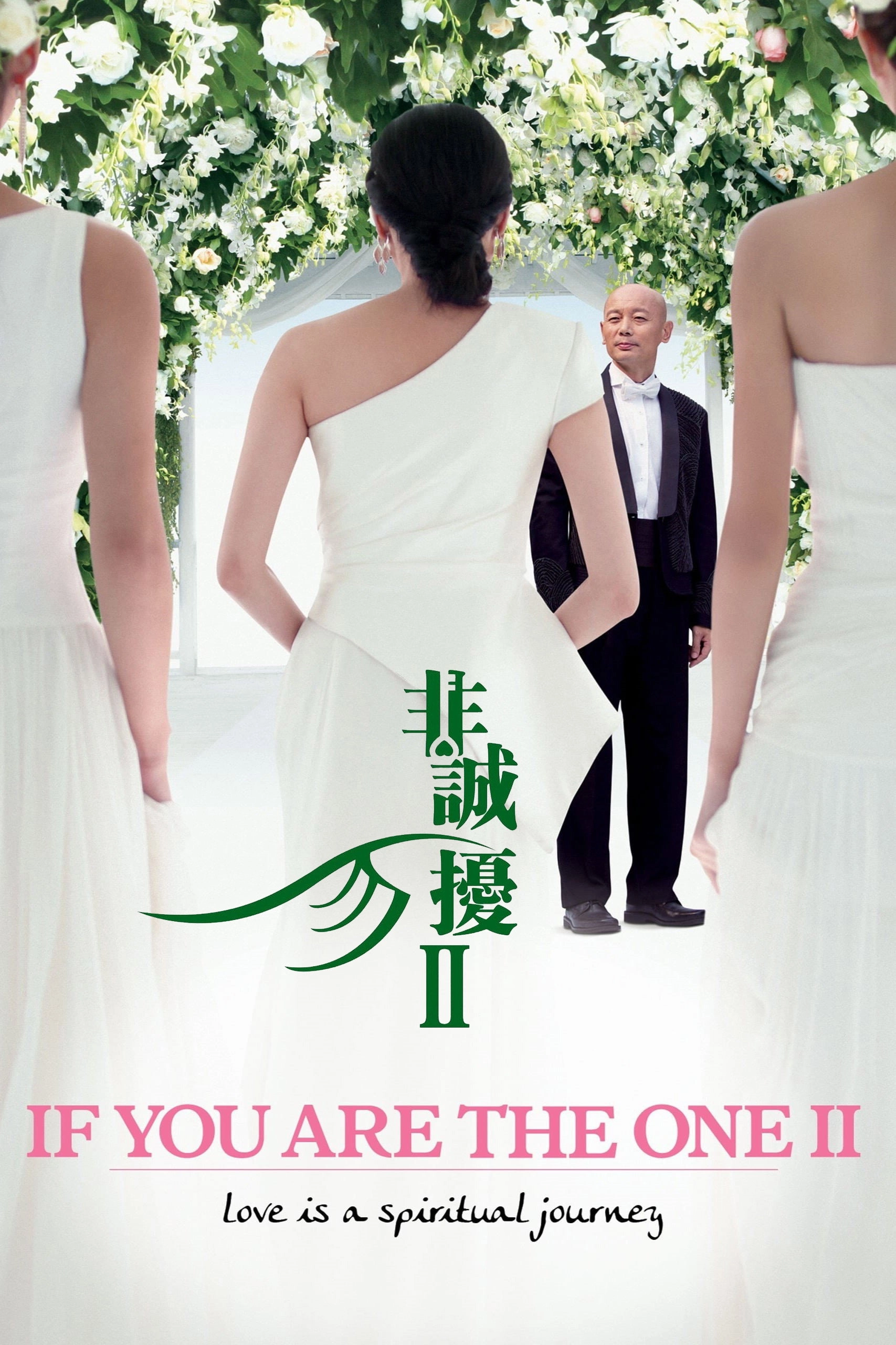 If You Are the One 2