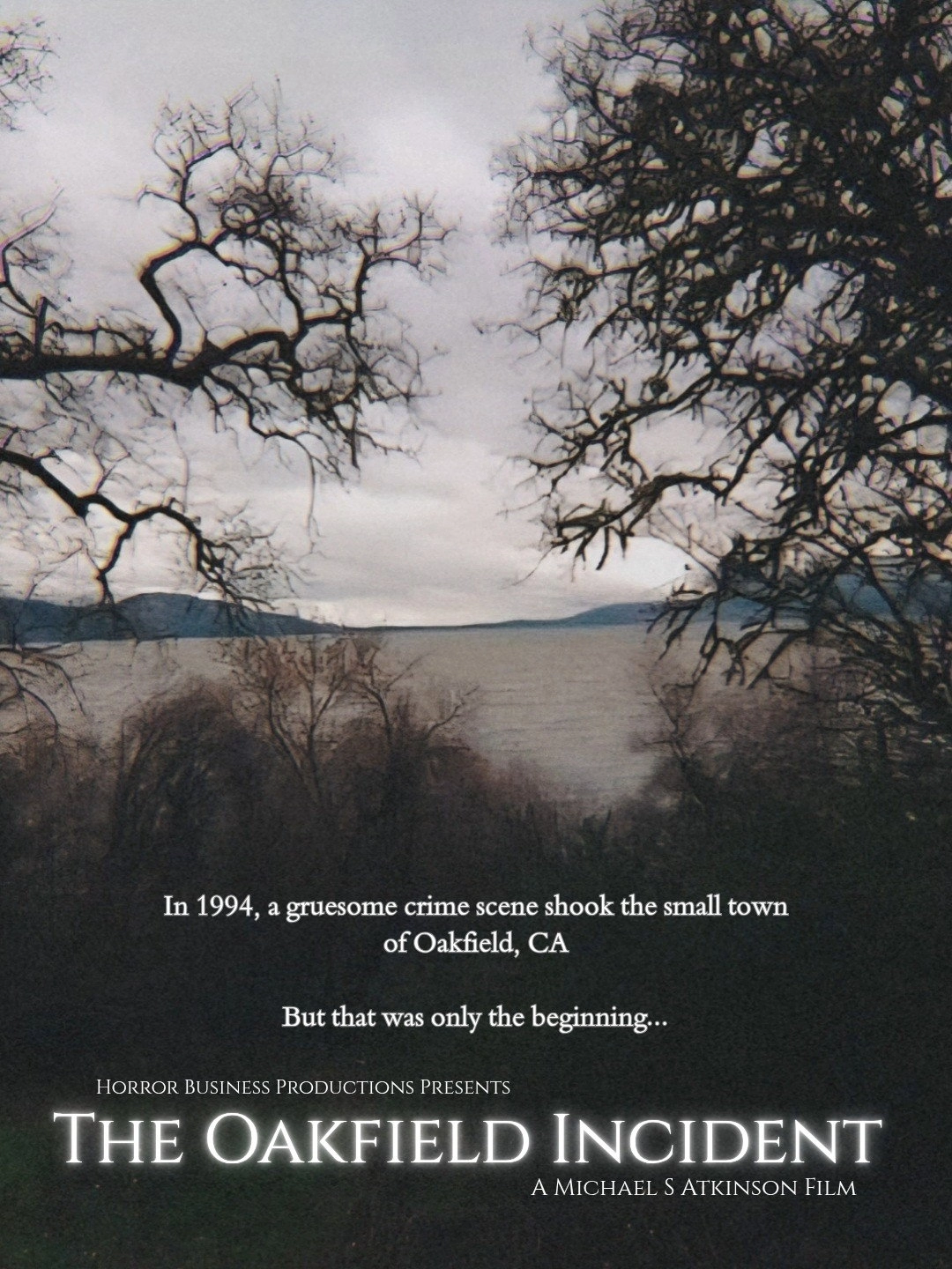 The Oakfield Incident