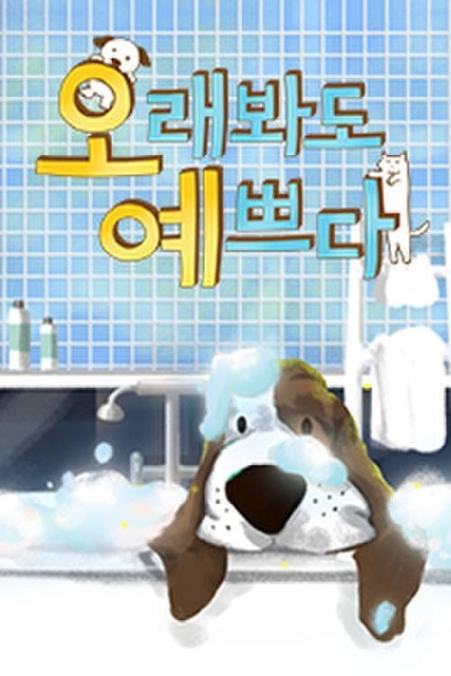 오래봐도 예쁘다