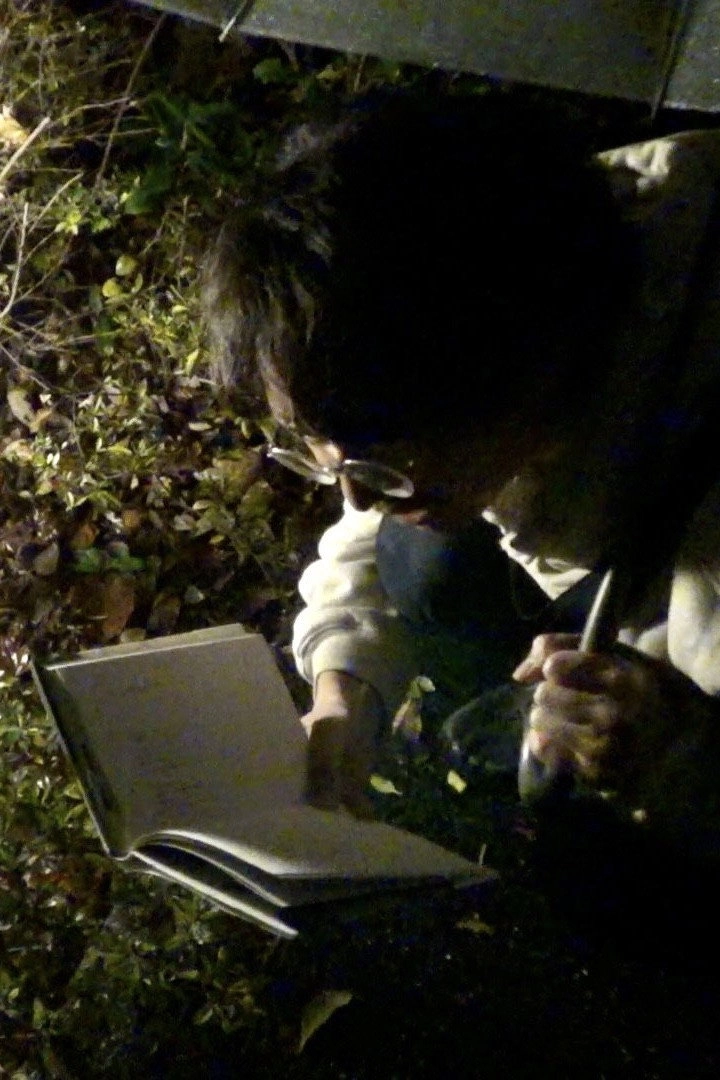 Read Aloud