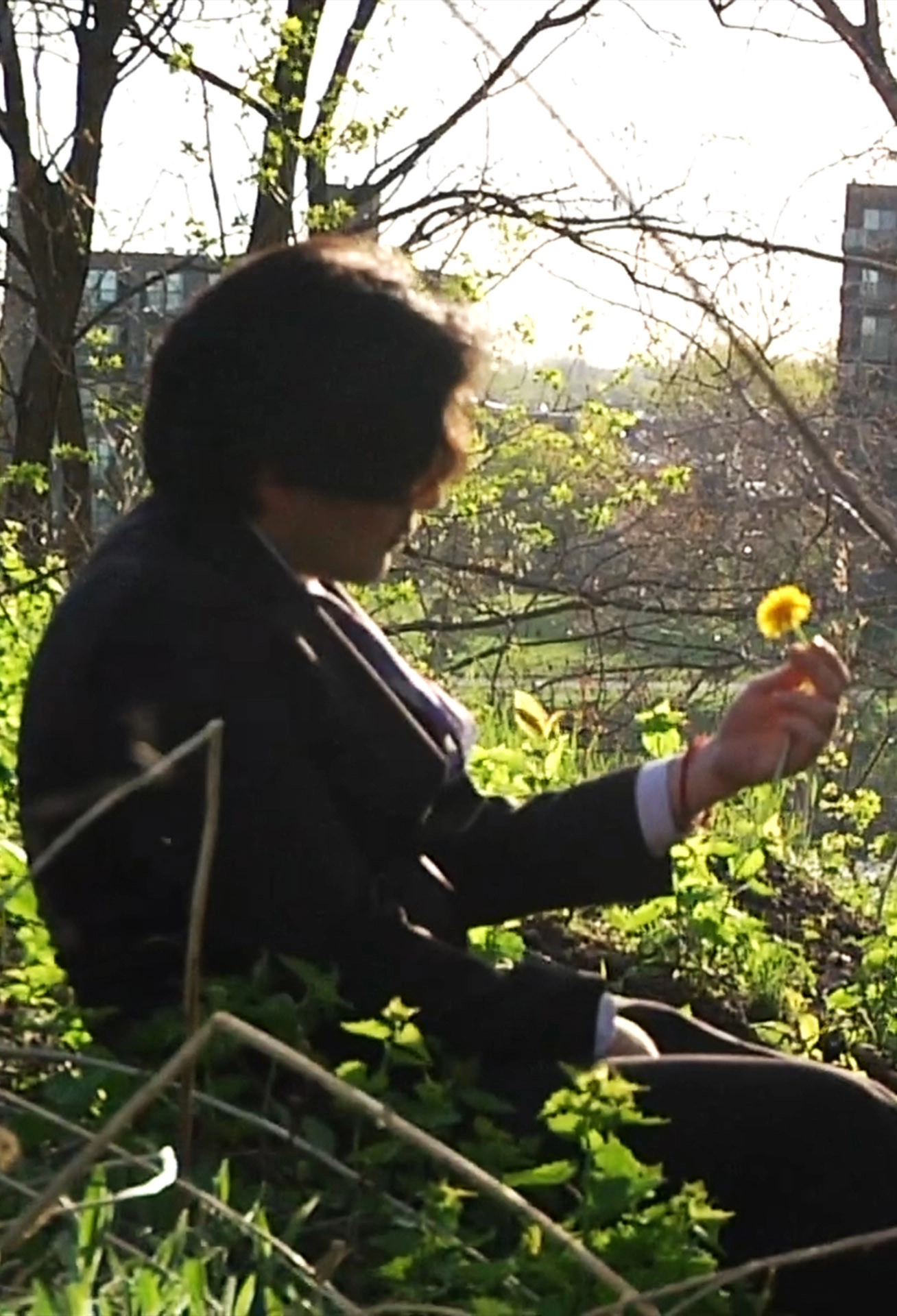 The Flower