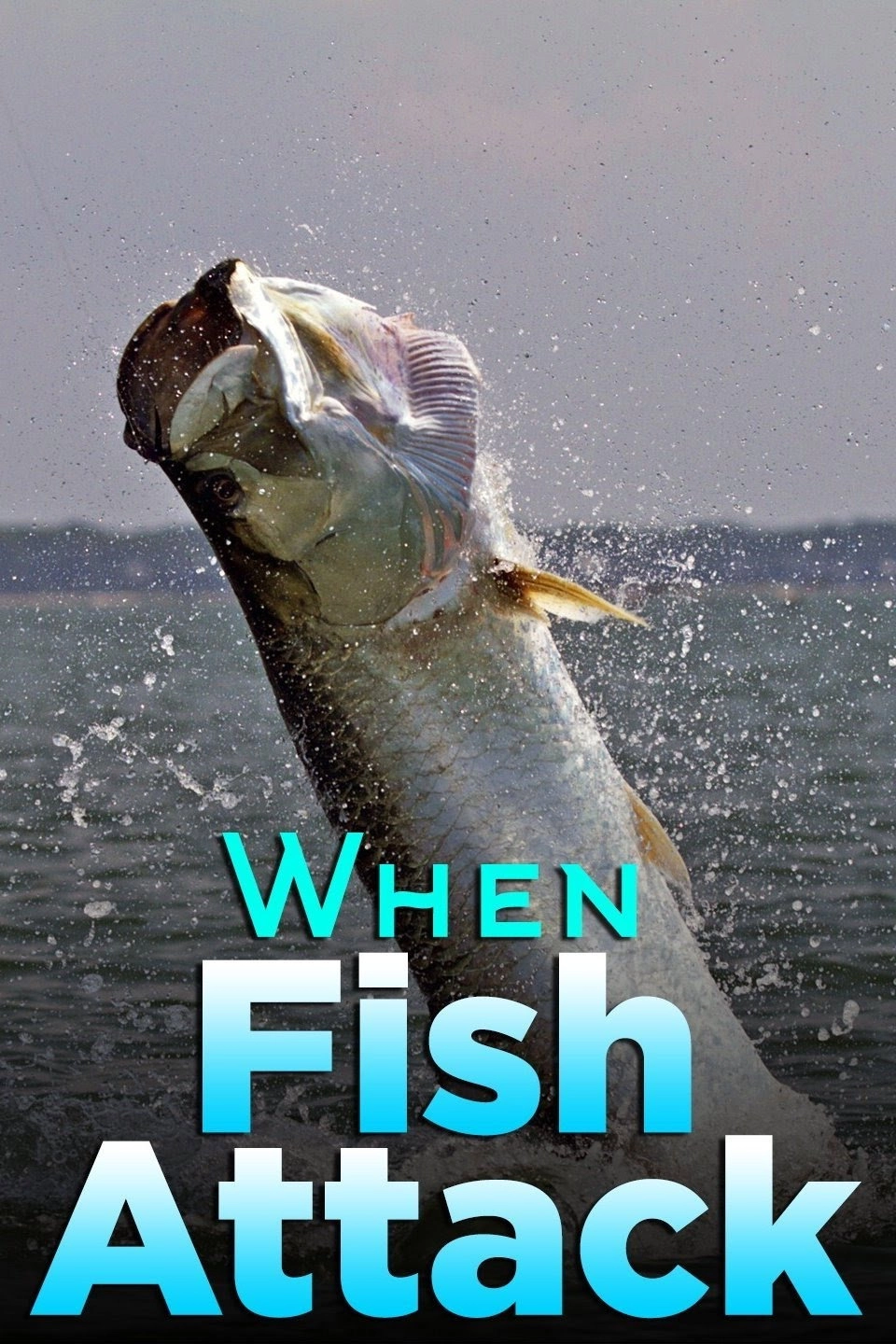 When Fish Attack