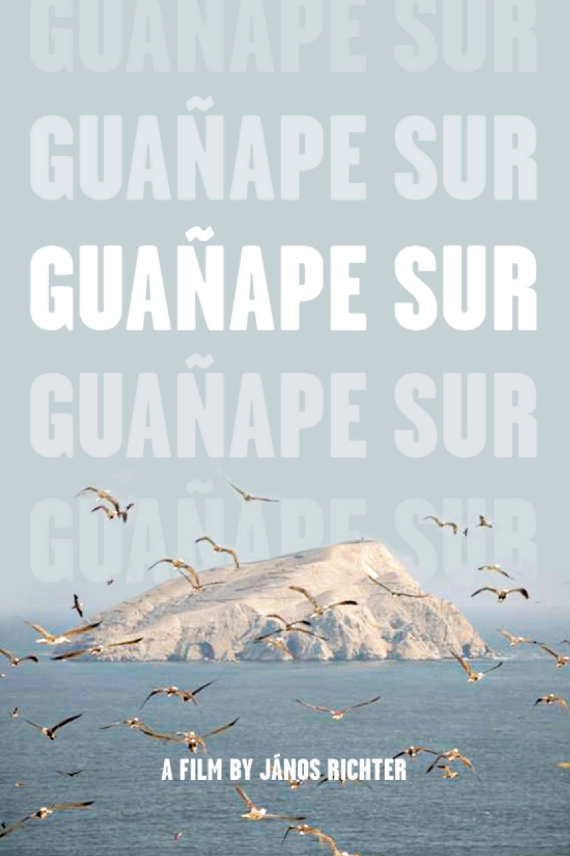 Guañape sur