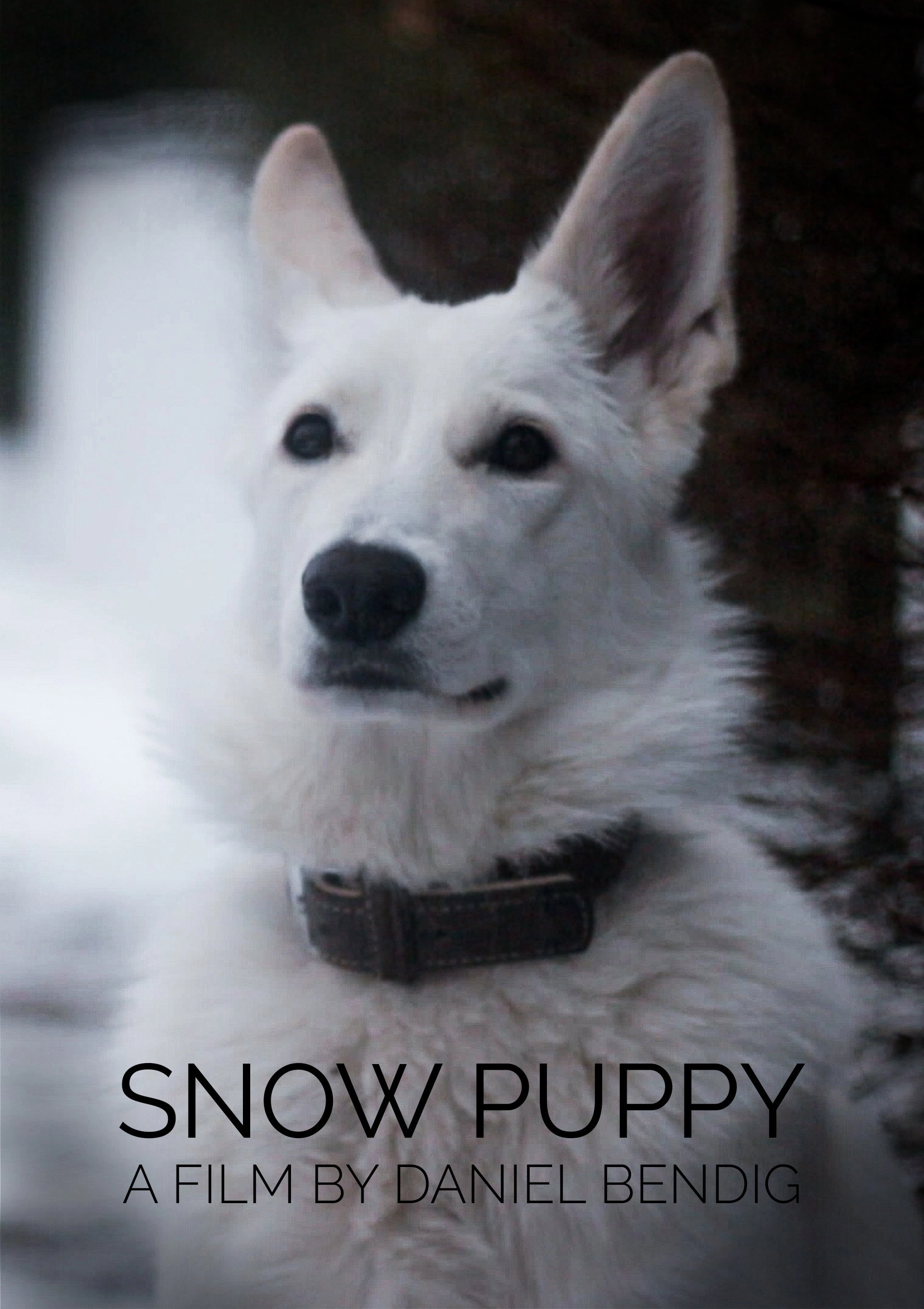 Snowstorm