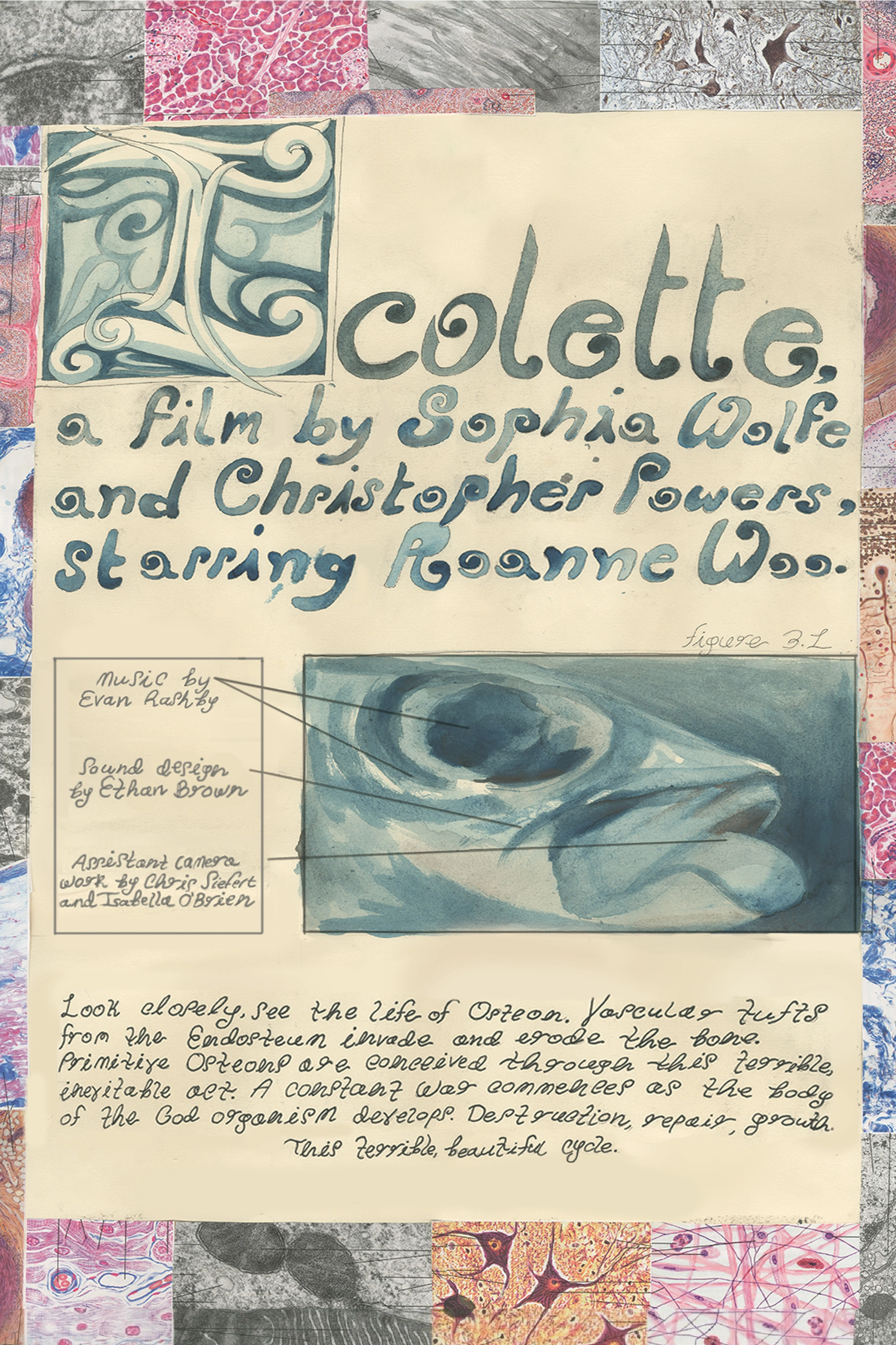 Icolette