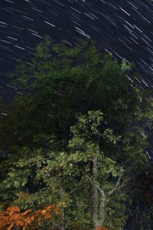 The Summer Triangle