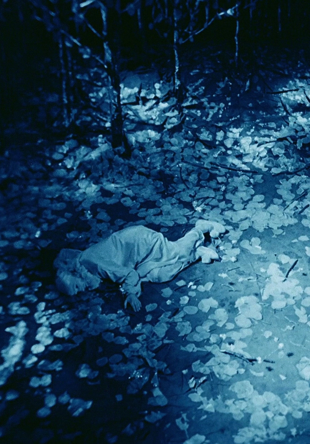 Rabbit's Moon