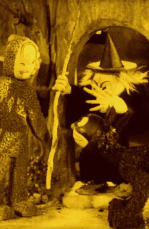 The Witch's Cat
