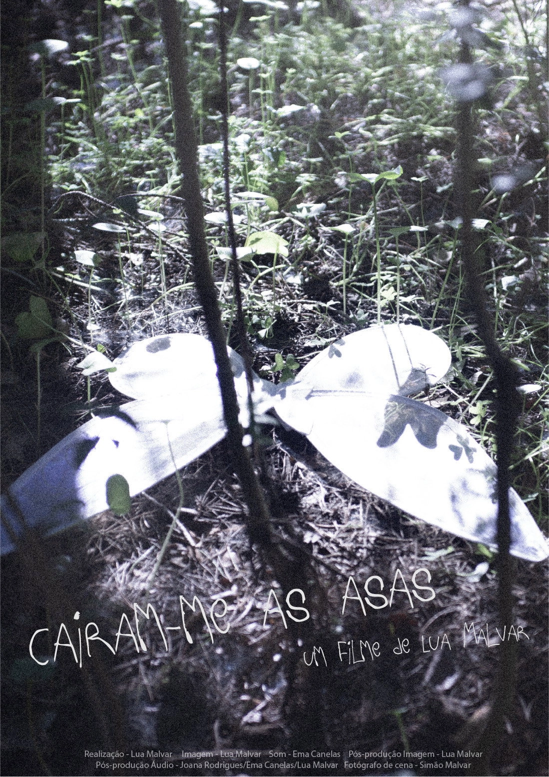 Caíram-me as Asas