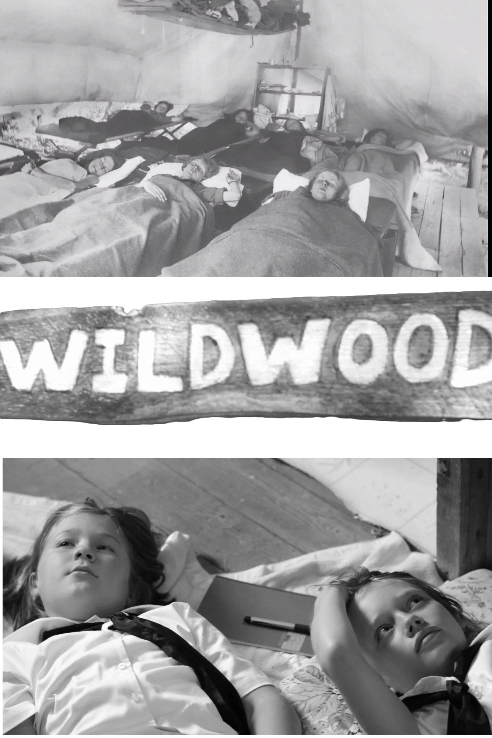 Wildwood