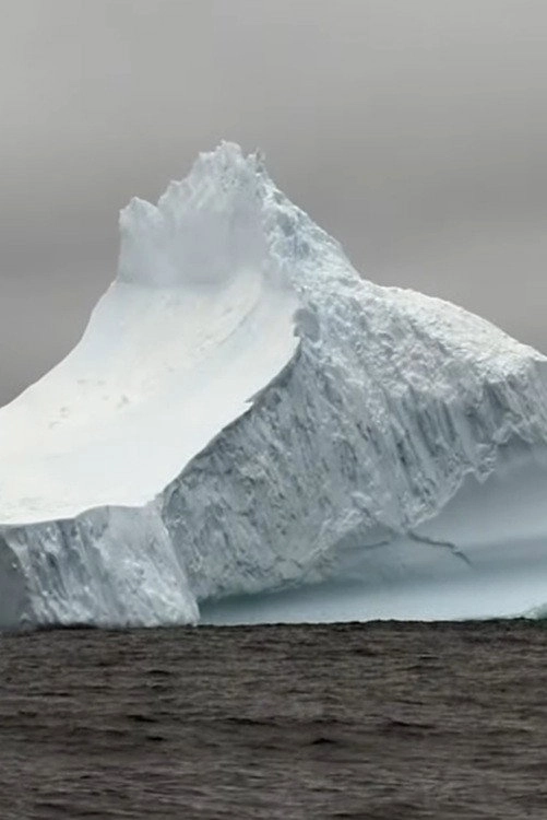 Geants de glace...à la dérive