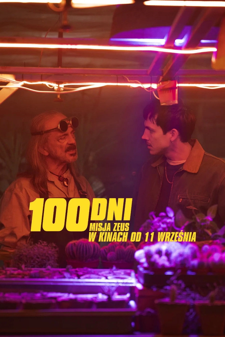 100 dni do matury 2