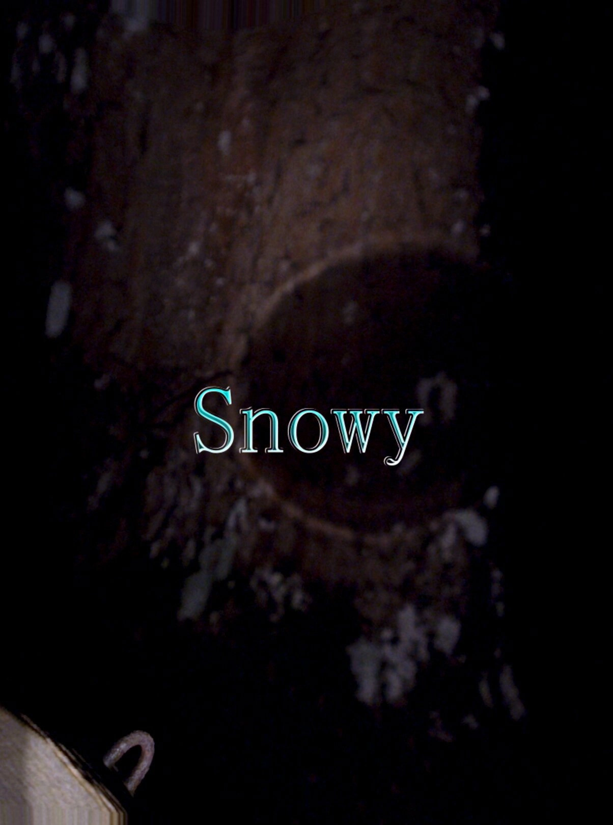 Snowy