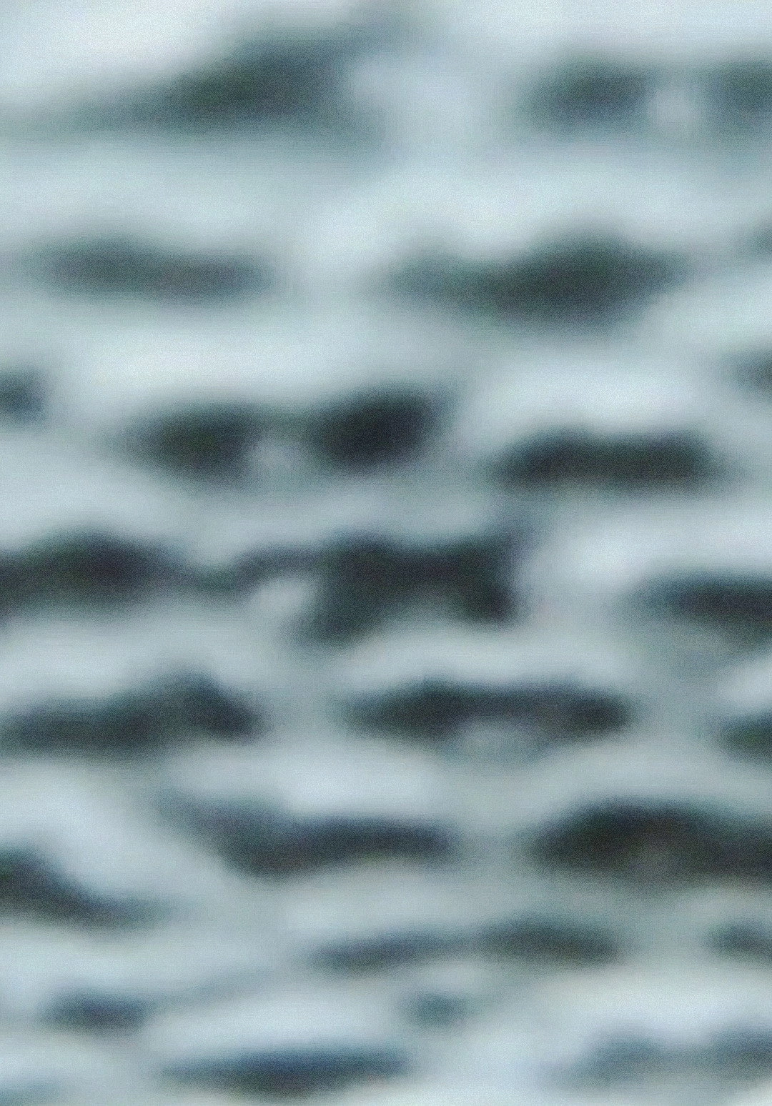 The Wind