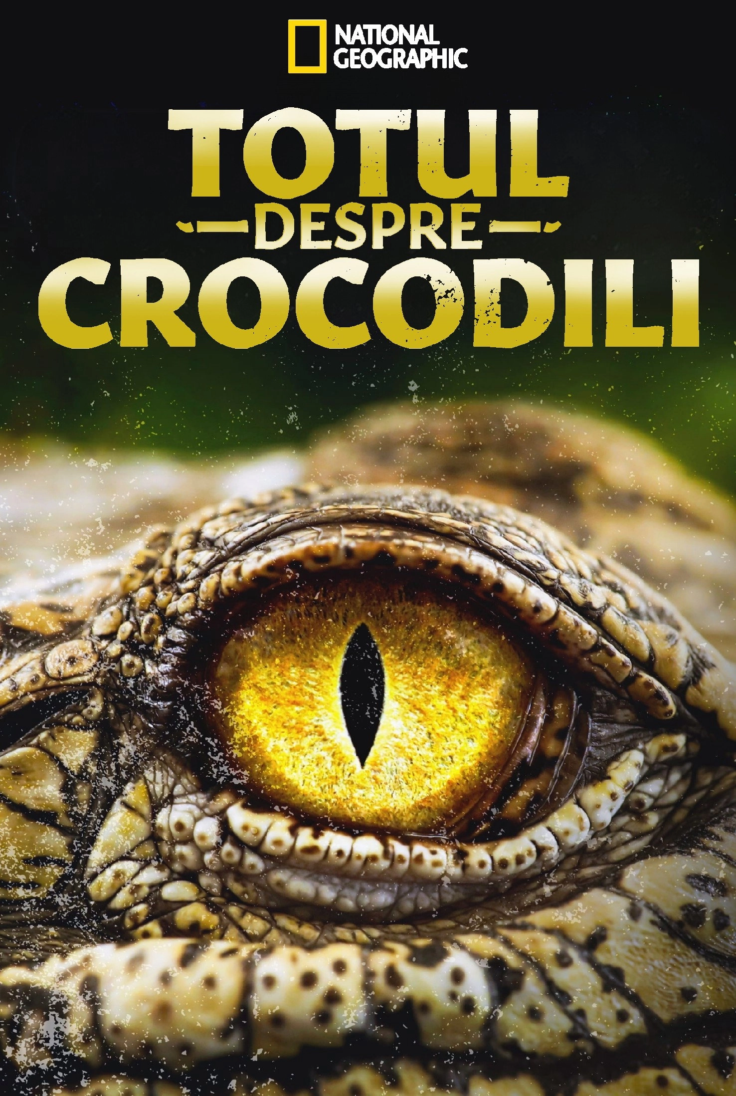 Crocodiles Revealed