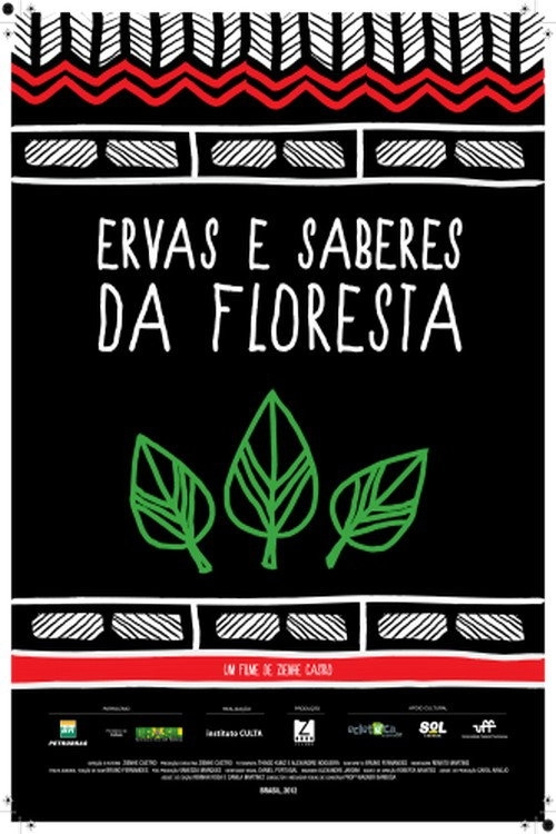 Ervas e Saberes da Floresta