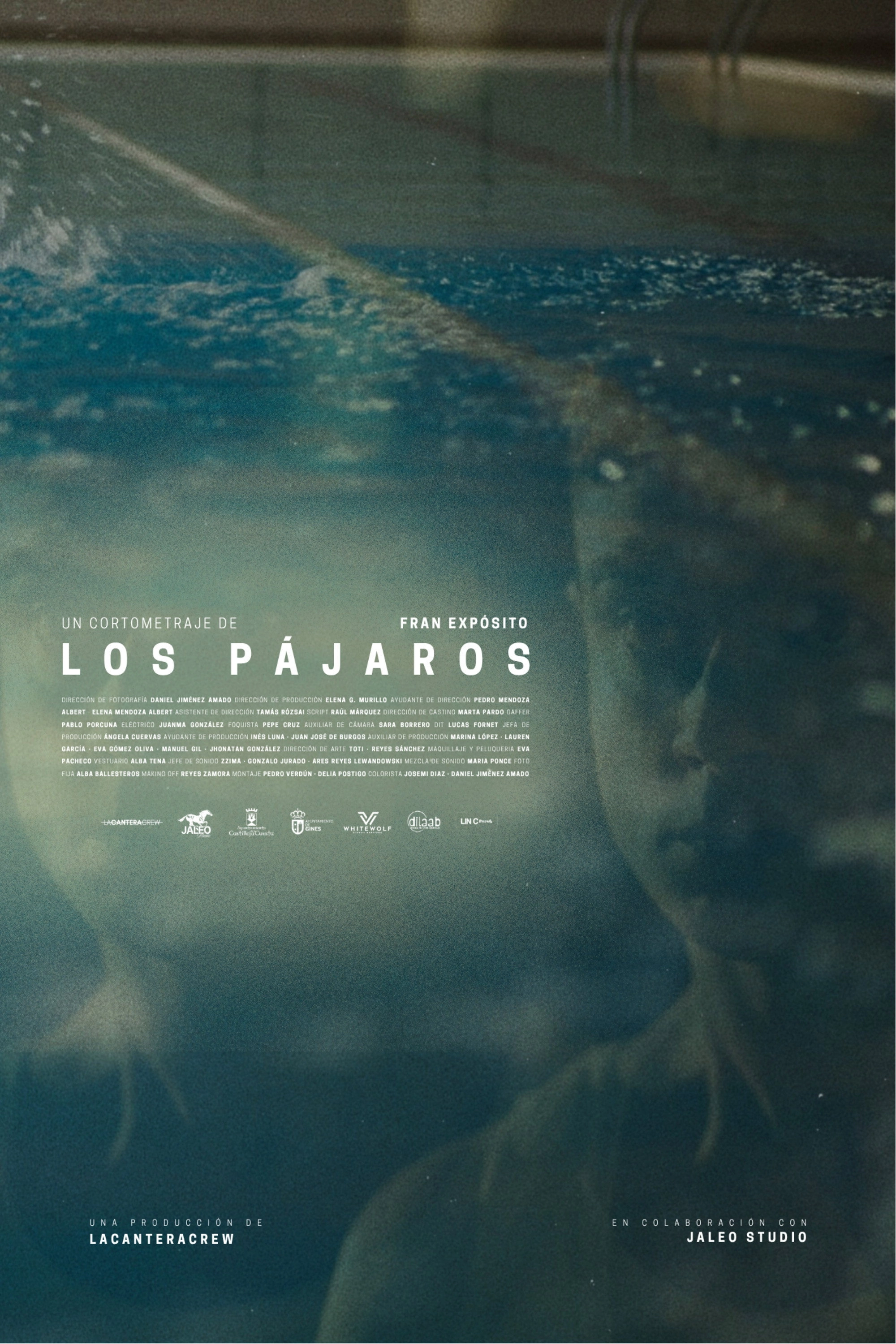 Los pájaros