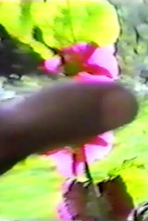 Hand In The Sun
